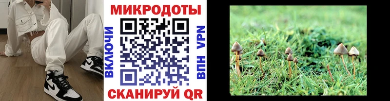 Галлюциногенные грибы прущие грибы  Павловская 